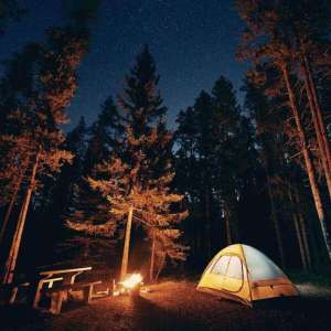 Escape at Home - Forest Adventure - Single Location